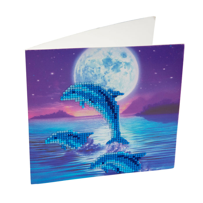 CA Card Kit: Dolphins