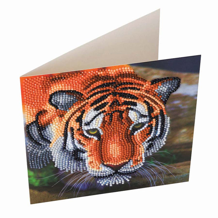 CA Card Kit: Tiger