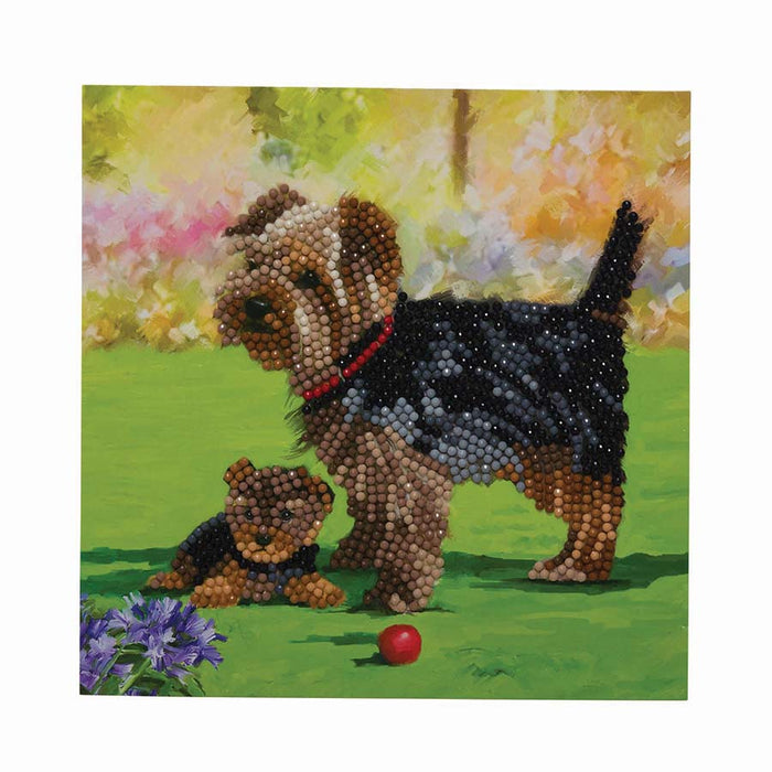CA Card Kit: Dogs