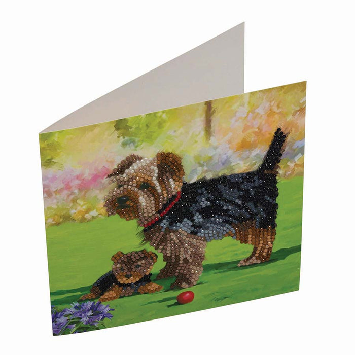 CA Card Kit: Dogs