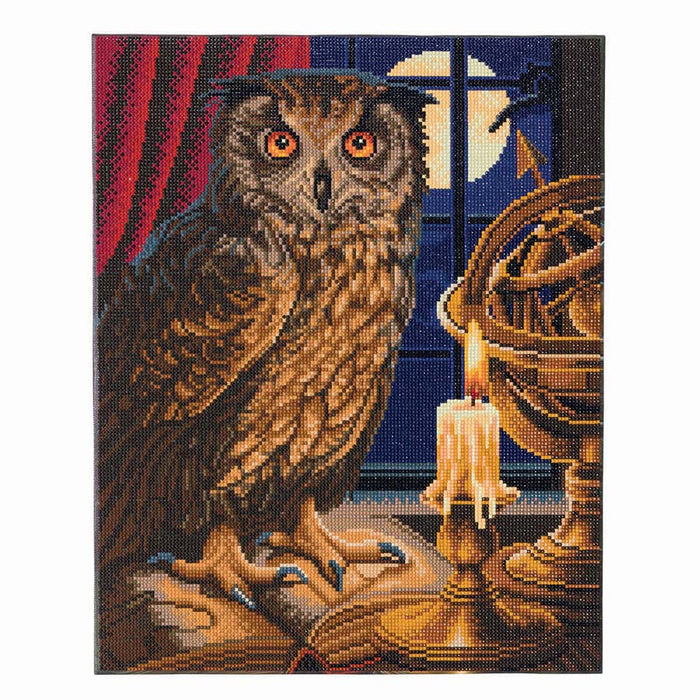 CA Mounted Kit (Lg): The Astrologer Owl