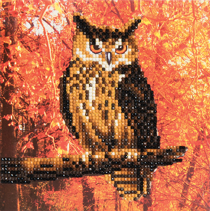 CA Card Kit: Autumn Owl