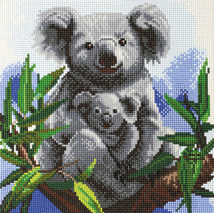 CA Mounted Kit (Med): Cuddly Koalas