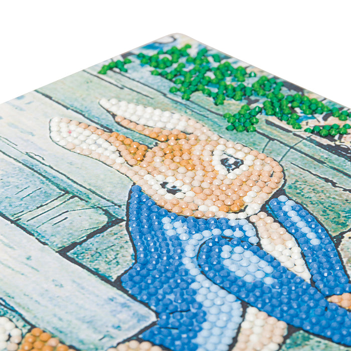 CA Card Kit: Peter Rabbit Under the Fence