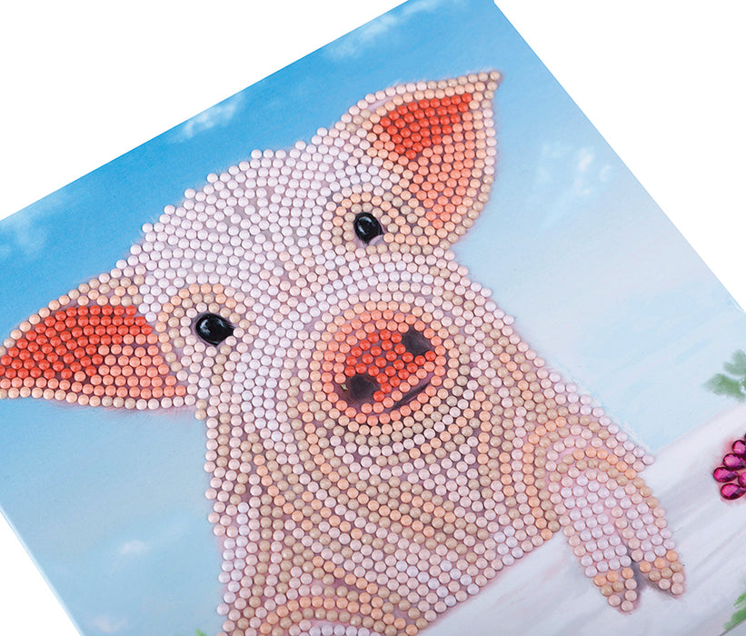 CA Card Kit: Pig on the Fence