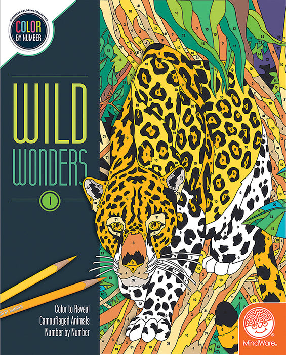 CBN Wild Wonders: Book 1