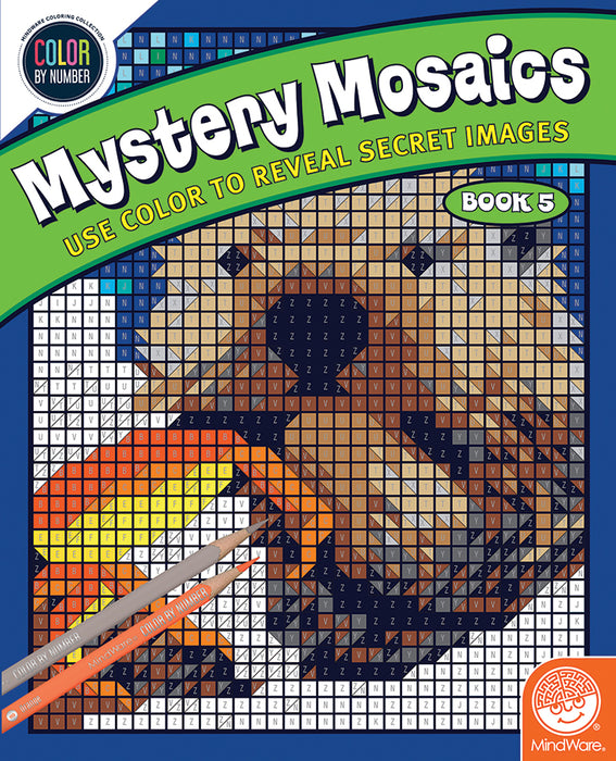 CBN Mystery Mosaics: Book 5