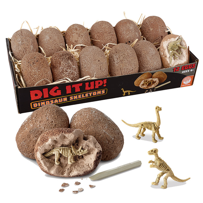 Dig It Up! Dinosaur Skeletons