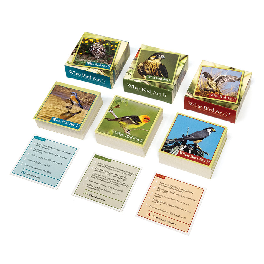 What Bird Am I? (Sample Cards Only) — Outset Media