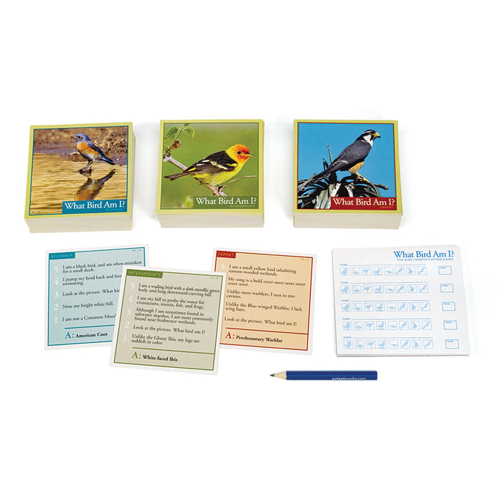 Quel oiseau suis-je ?