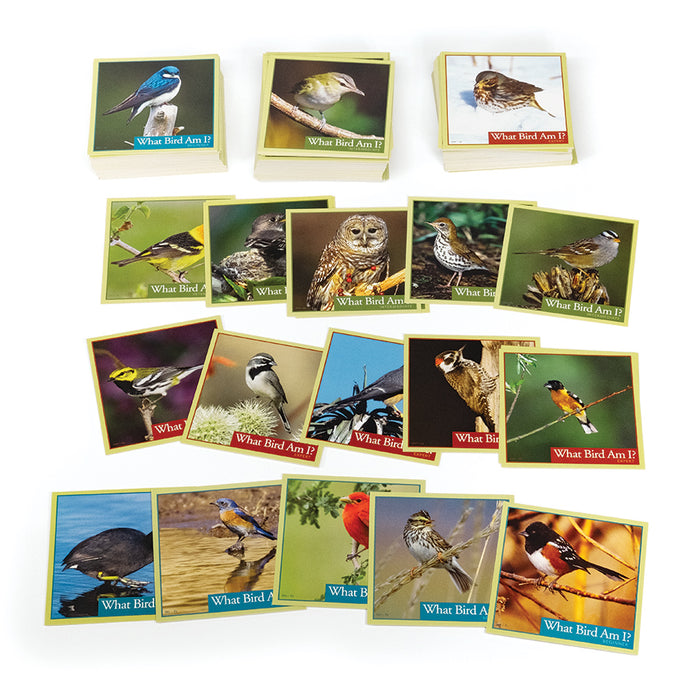 Quel oiseau suis-je ?