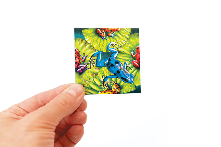 Magic Square Puzzle: Frogs (25pc)