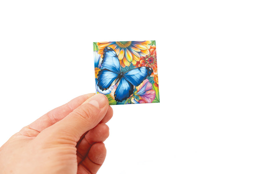 Magic Square Puzzle: Butterflies (36pc)