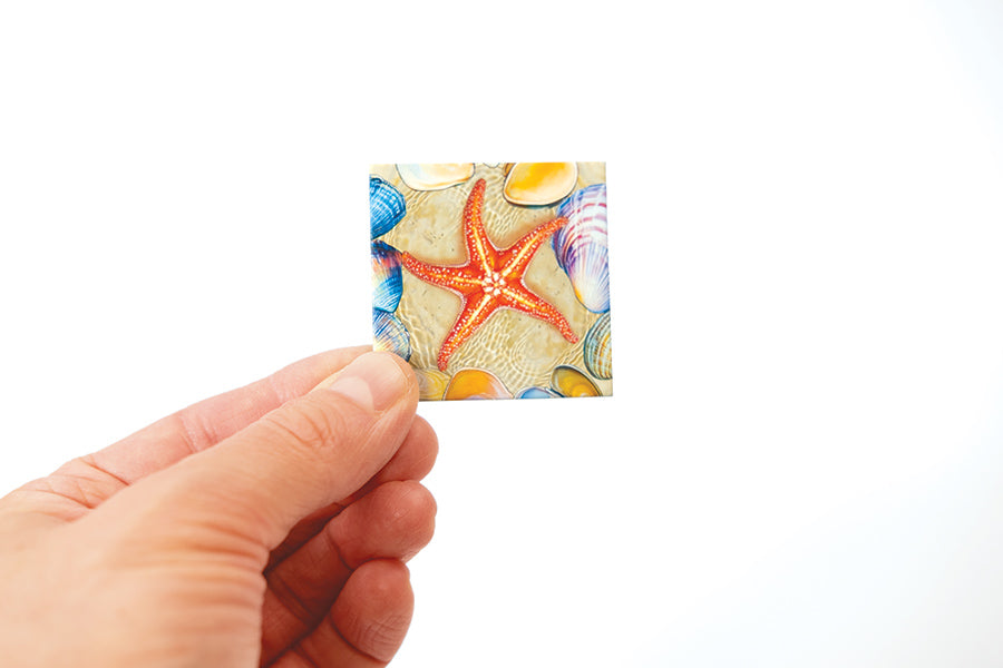 Magic Square Puzzle: Tidal Pool (49pc)