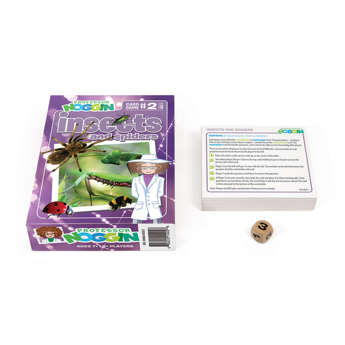 Prof. Noggin Insects and Spiders