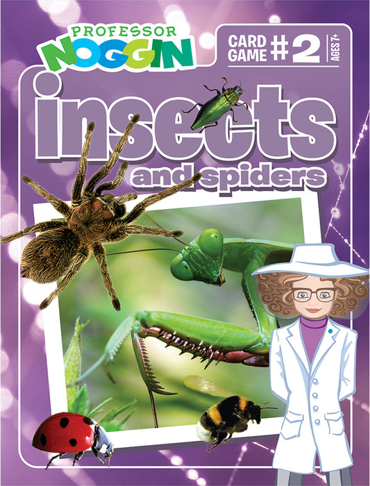 Insectes et araignées du professeur Noggin