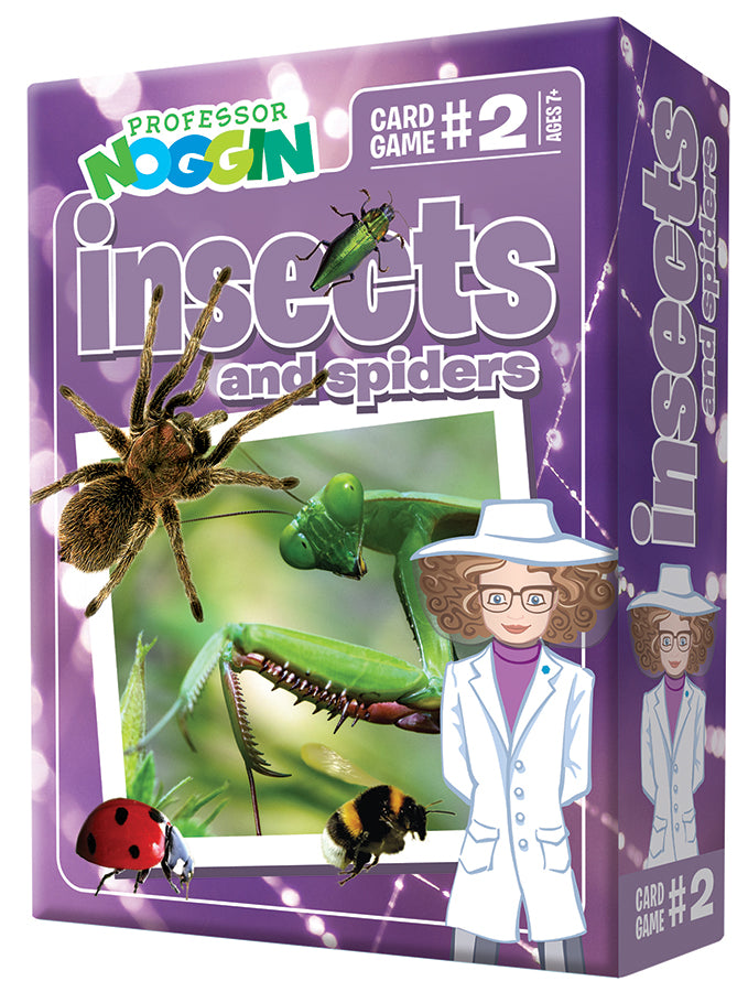 Prof. Noggin Insects and Spiders — Outset Media