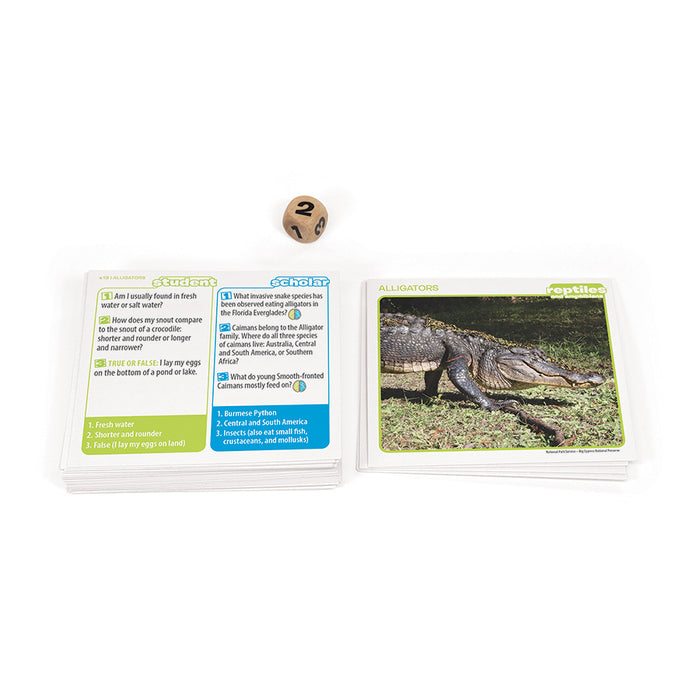 Prof. Noggin Reptiles and Amphibians