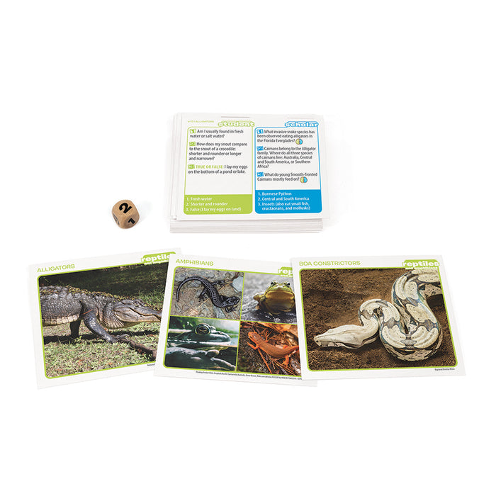 Prof. Noggin Reptiles and Amphibians