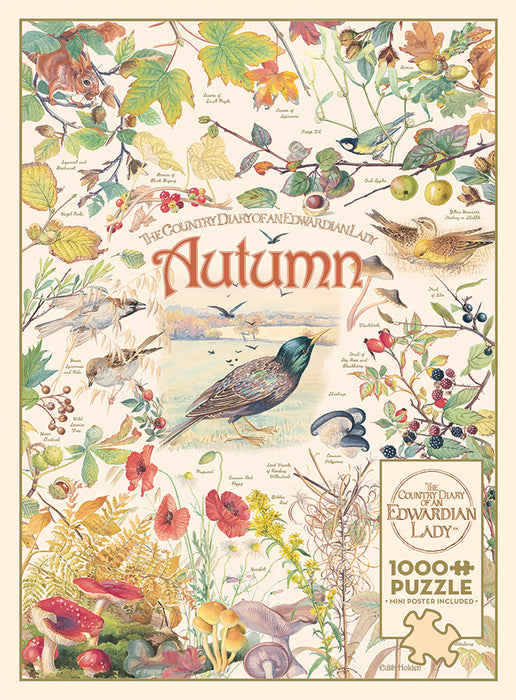 Country Diary: Autumn  | 1000 Piece