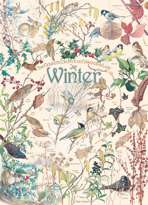 Country Diary: Winter  | 1000 Piece