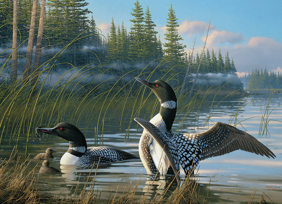Common Loons  | 1000 Piece