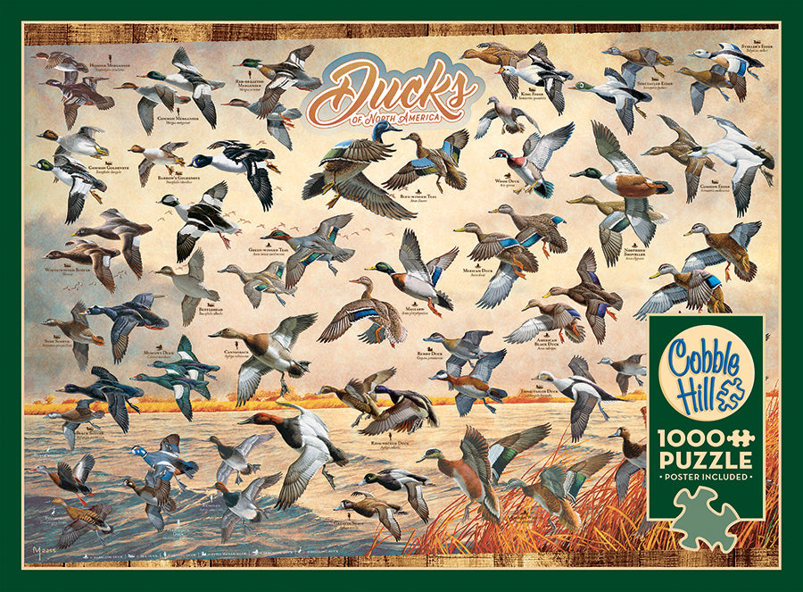 Ducks of North America  | 1000 Piece