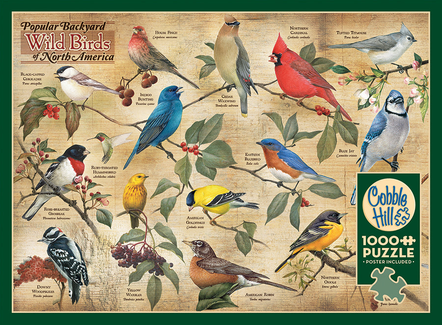 Oiseaux sauvages d'arrière-cour populaires d'Amérique du Nord | 1000 pièces