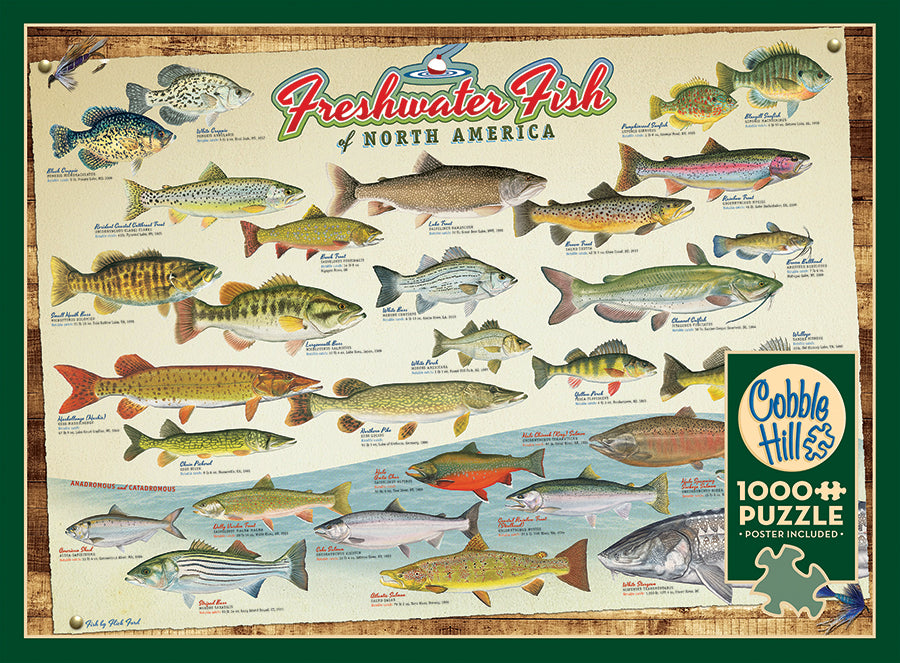 Freshwater Fish of North America  | 1000 Piece