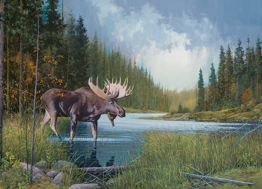 Lac Moose | 1000 pièces