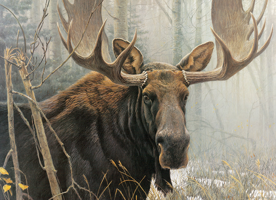 Bull Moose  | 500 Piece