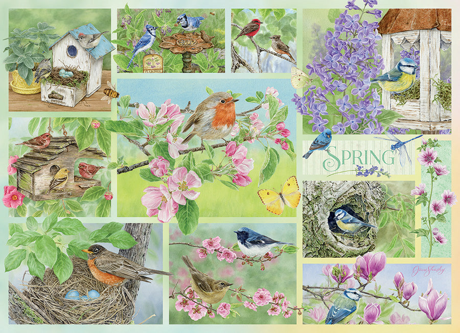 Garden Birds in Spring | 500 Piece