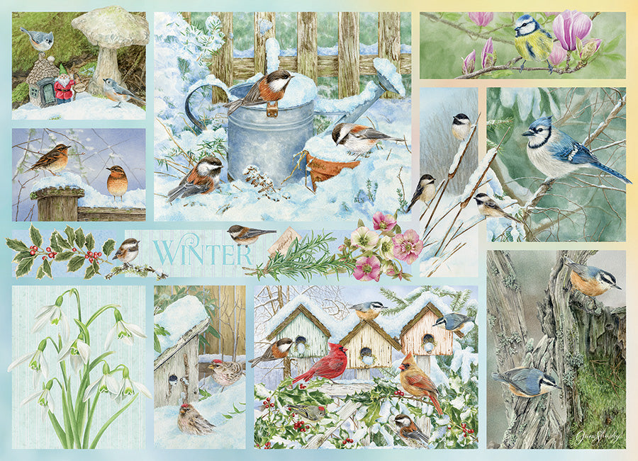 Garden Birds in Winter | 500 Piece