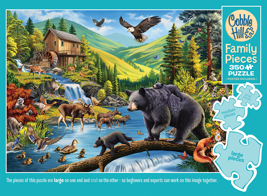 A Family Affair (Family) | Family Pieces 350