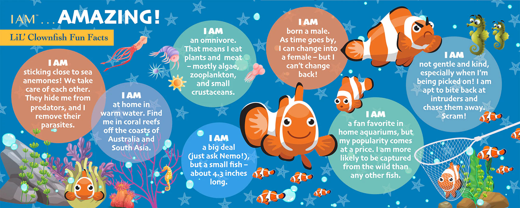 I AM Lil Clownfish (48 pc)