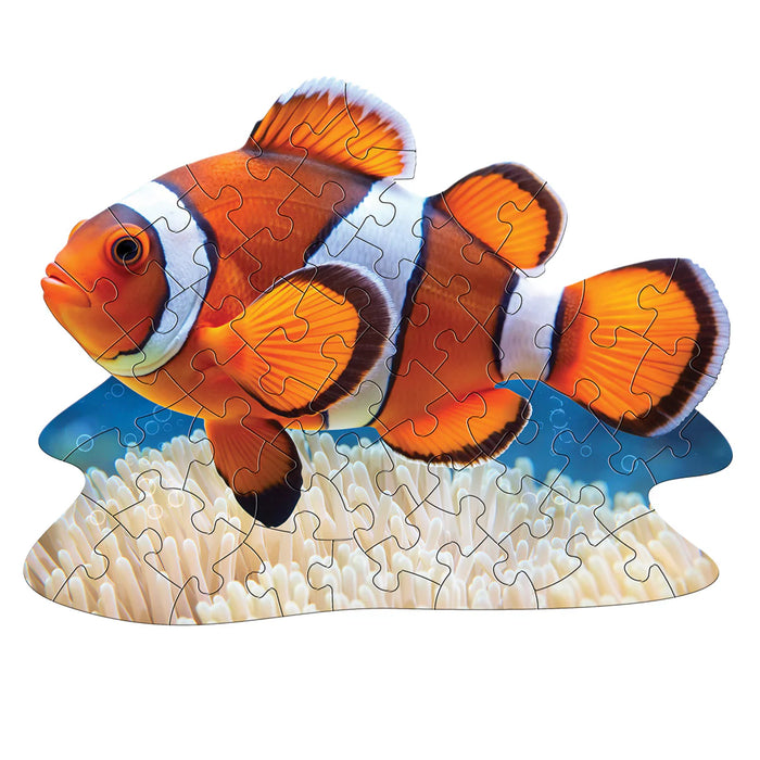 I AM Lil Clownfish (48 pc)