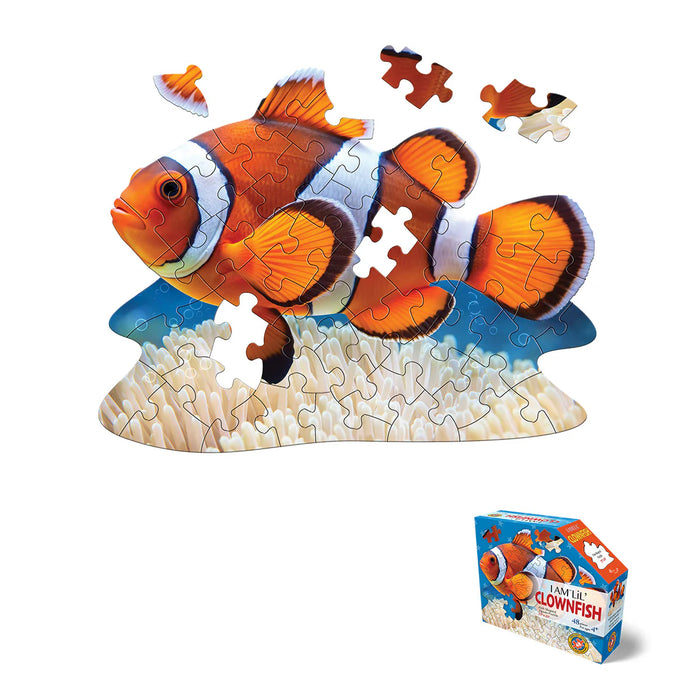I AM Lil Clownfish (48 pc)