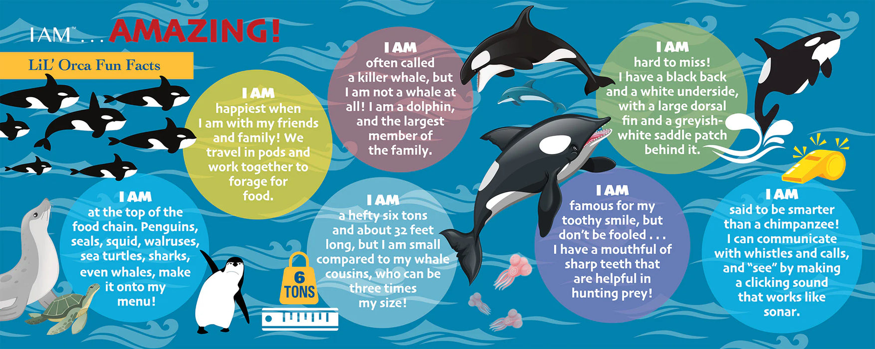 I AM Lil Orca (48 pc)