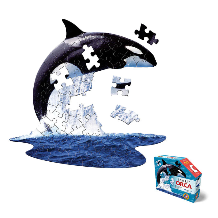 I AM Lil Orca (48 pc)