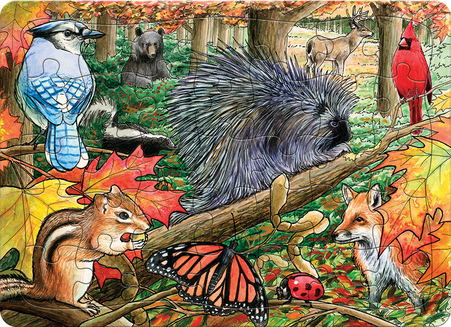 Eastern Woodlands (tray)  | 35 Piece Tray