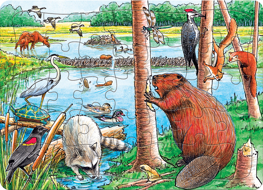 The Beaver Pond (tray)  | 35 Piece Tray