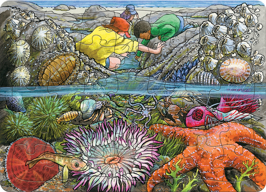 Exploring the Seashore (tray)  | 35 Piece Tray