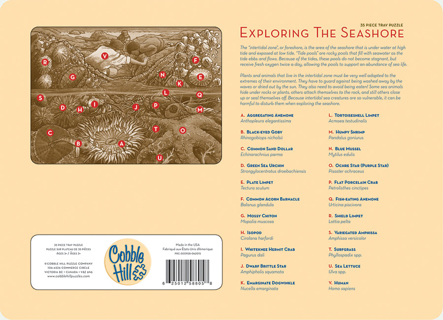 Exploration du bord de mer (plateau) | Plateau de 35 pièces