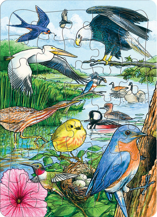 North American Birds (tray)  | 35 Piece Tray