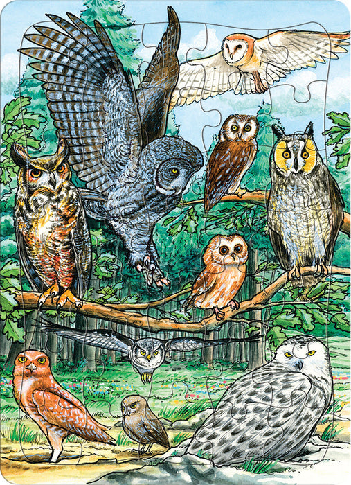 North American Owls (tray)  | 35 Piece Tray