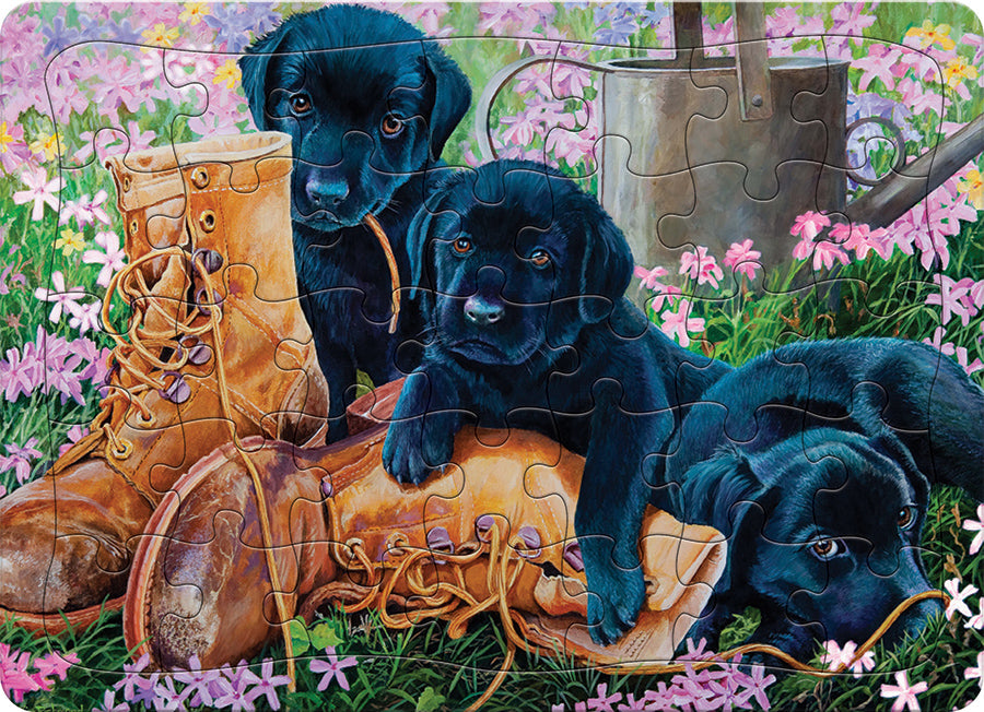 Black Lab Puppies (tray)  | 35 Piece Tray