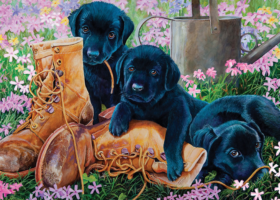 Black Lab Puppies (tray)  | 35 Piece Tray