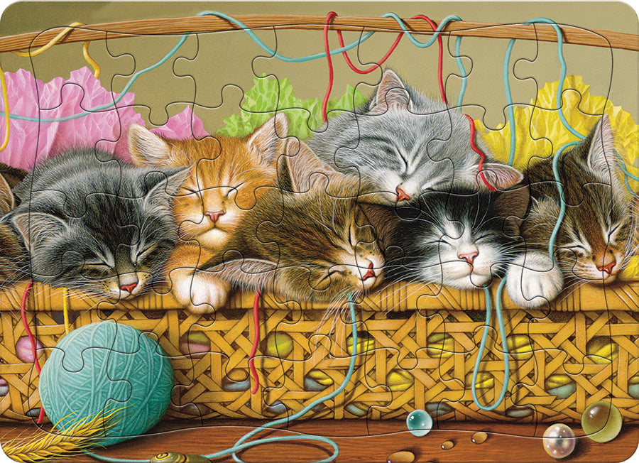 Kittens in Basket (tray)  | 35 Piece Tray