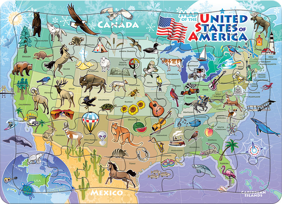 USA Map (tray)  | 35 Piece Tray