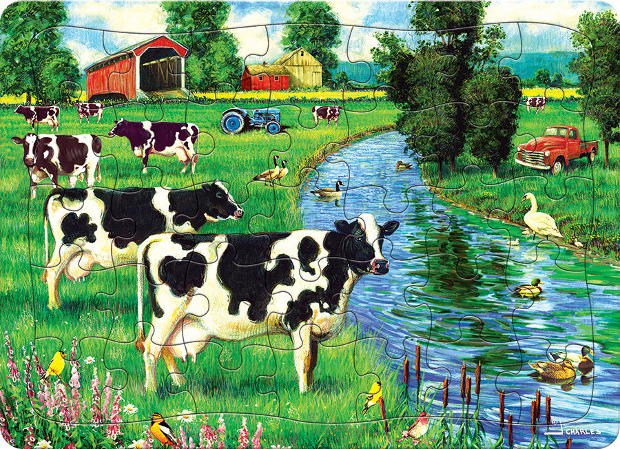Cow Stream (tray)  | 35 Piece Tray
